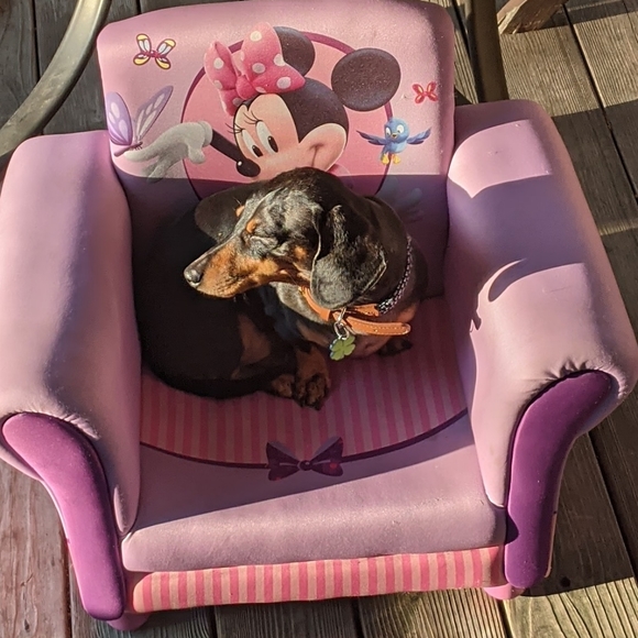 Meet your Posher, Susan - Picture 2 of 2